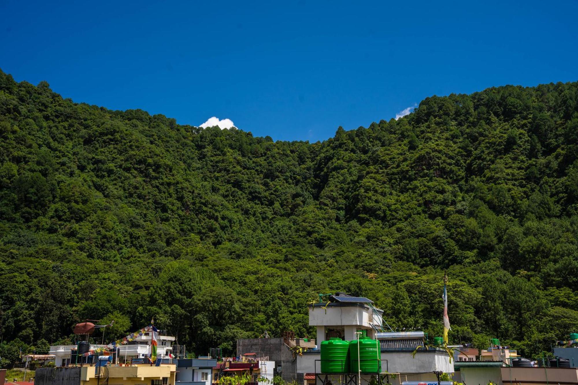 Homestay Book Now カトマンズ エクステリア 写真